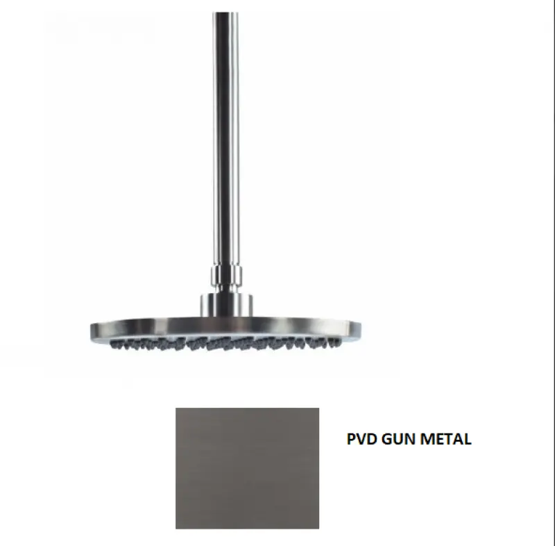 Waterevolution Flow Kopfbrause 250 mm mit Deckenanschluss PVD Gun Metal T164225GME