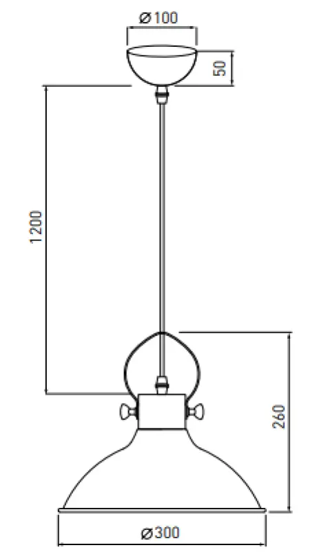 Decor Mees schwarze Metall-Pendelleuchte mit Schirmaufsatz in der Form einer Öllampe 2363