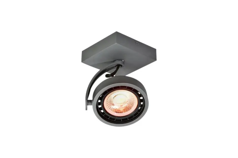 Decor Wally Deckenleuchte oder Wandleuchte mit beweglichem Kopf, Anthrazit, 1 Leuchtmittel 4281