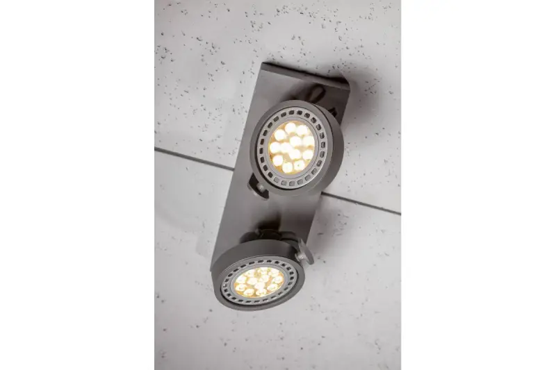 Decor Wally Deckenleuchte oder Wandleuchte mit beweglichem Kopf, Anthrazit, 2 Lichtquellen 4304