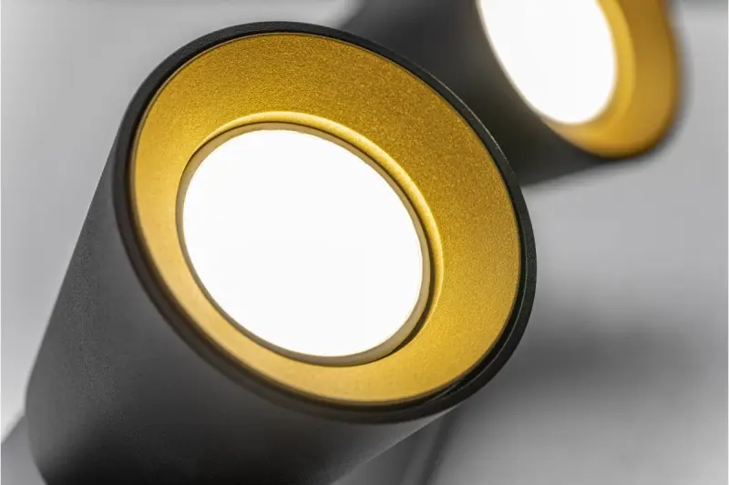 Dekor Elli moderne schwarze Deckenleuchte mit 2 Lichtquellen 4557