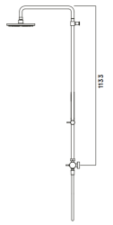 Waterevolution Flow thermostatische Duschkombination mit Regendusche Edelstahl 250mm T141TN25IE