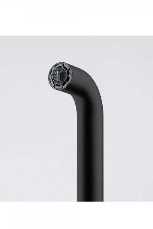 Franke Lina U Küchenarmatur Schwenkauslauf Schwarz 115.0728.474